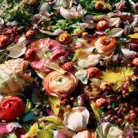 Jocelyn Lee, Dark Matter #3, Wedding Flowers, digital archival print on Canson Platine paper (6_50), 16_x20_, 2015, $950, Full Donation, @jocelynleephotography Jocelyn Lee, Dark Matter #3, Wedding Flowers, digital archival print on Canson Platine paper (6_50), 16_x20_, 2015, $950, Full Donation, @jocelynleephotography