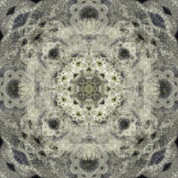 B3E70A66-81E6-429B-BE63-3C4E4D8CBBB0-600x600-1