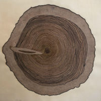 Arcadipone.TreeRingVE125