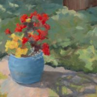 Begonias