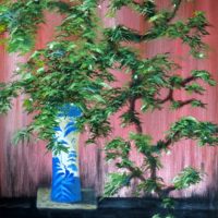 Blue-Vase