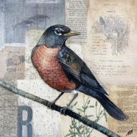 Kuvaja_Robin