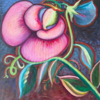 SweetPea_scaled