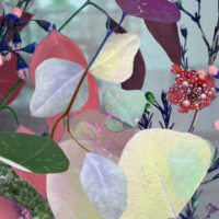 FLOWERS-III-31